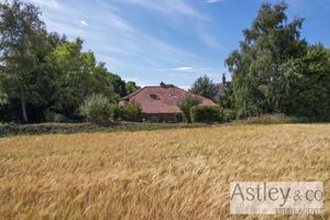 field- click for photo gallery